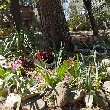 Du Pont-du-gard Remoulins