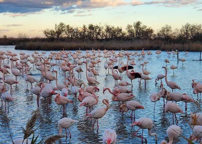 Du Pont-du-gard Lodge